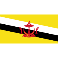 Brunei Darussalam International Calling Card $10